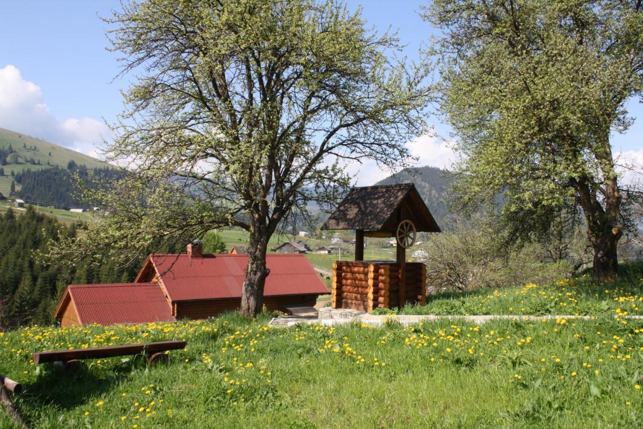 Polonyna Vila Verkhovyna Exterior foto