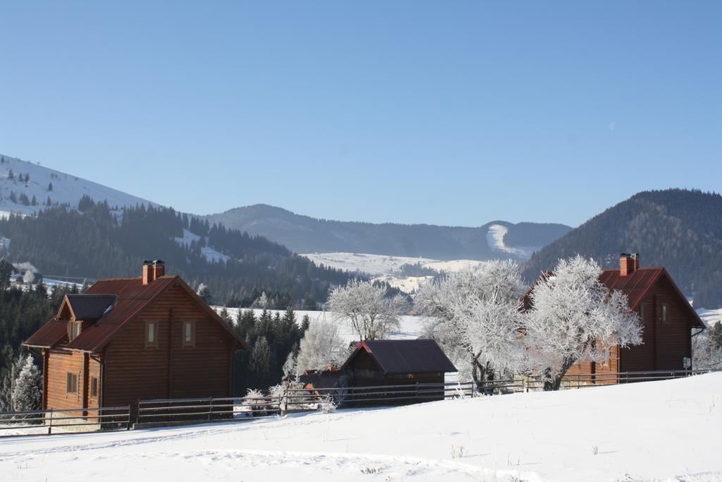 Polonyna Vila Verkhovyna Exterior foto