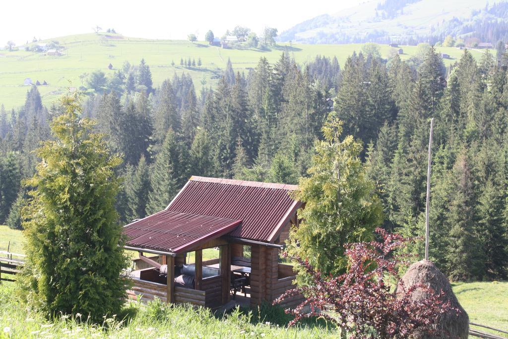 Polonyna Vila Verkhovyna Exterior foto
