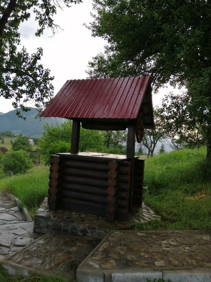Polonyna Vila Verkhovyna Exterior foto